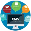 CMS Development